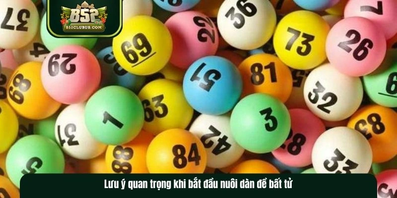 Các lưu ý khi tiến hành tạo dàn đề bất tử