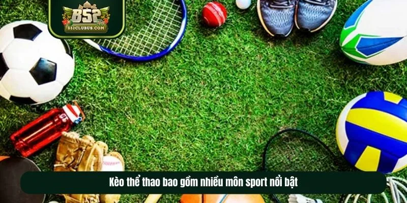 Kèo thể thao bao gồm nhiều môn sport nổi bật